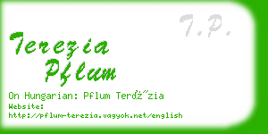 terezia pflum business card